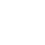 nirvana icon